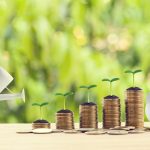 Why the Vanguard High Dividend Yield ETF (VYM) Could Be the ETF to Own in 2025