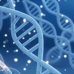 ‘Google for DNA’ Brings Order to Biology’s Big Data