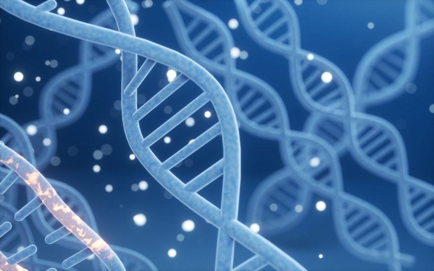 ‘Google for DNA’ Brings Order to Biology’s Big Data