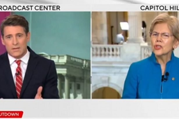 Elizabeth Warren Loses Her Mind When Journalist Notes That Democrats Actually Do Want Healthcare for Illegals on the Taxpayers’ Dime (VIDEO) | The Gateway Pundit | by Mike LaChance