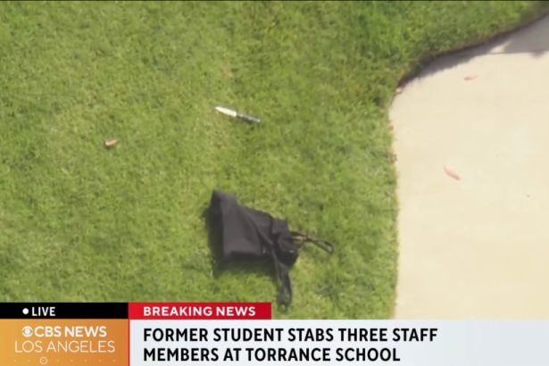 Ex-student allegedly stabs 3 staff members, plants bombs near California special needs school: police