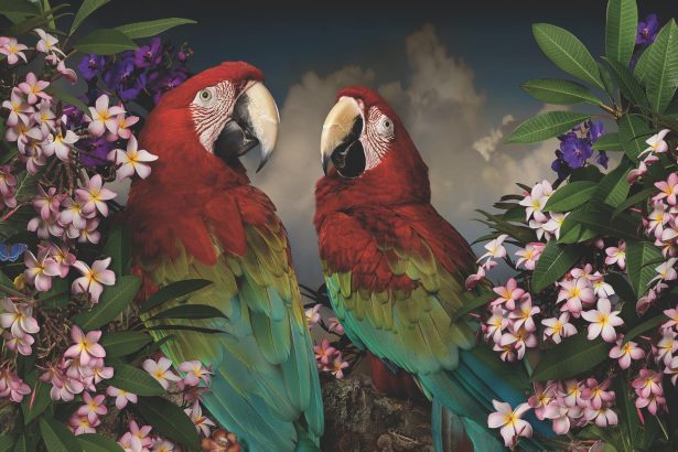 Contemporary Photographers in Australia and New Zealand Define ‘Exposure’