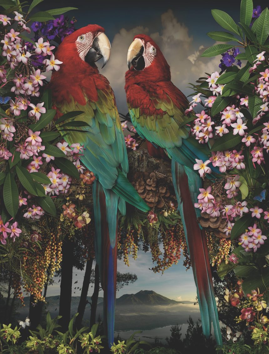 Contemporary Photographers in Australia and New Zealand Define ‘Exposure’