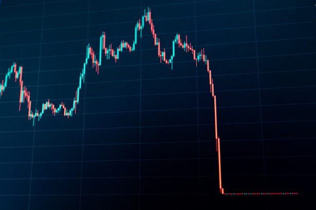 Crypto stock emerges as rare winner amid market crash