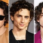 Timothee Chalamet Debuts Buzz Cut After Shaving Off His Curls