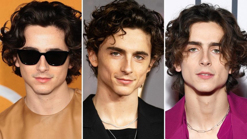 Timothee Chalamet Debuts Buzz Cut After Shaving Off His Curls