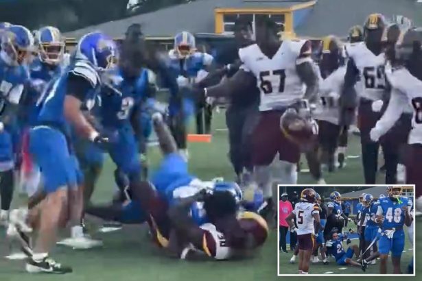 20 college football players, 2 head coaches suspended for wild Fort Valley State, Central State brawl after homecoming game