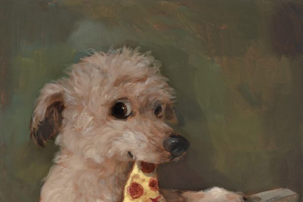 Alison Friend Packs a Lot of Personality into Witty Dog Portraits