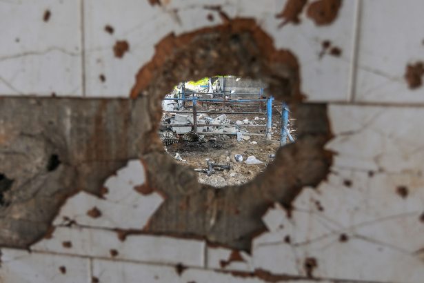 From genocide to ecocide: After years of war, Gaza faces an environmental crisis ‘above imagination’