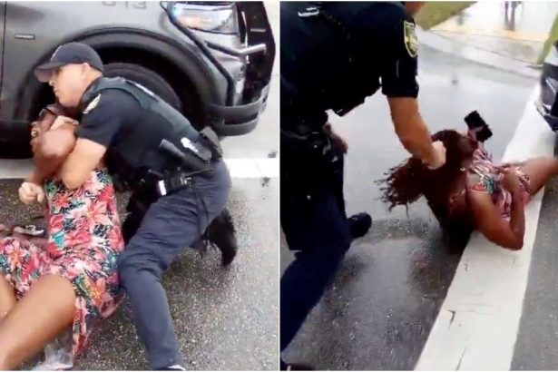 Habitual Traffic Offender Goes Berserk on Cop Outside Charter School, Bites Officer — Bystanders Also Arrested Under Florida’s New ‘Halo Law’ | The Gateway Pundit | by Jim Hᴏft
