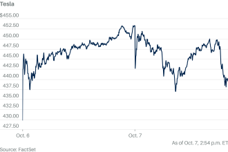 Tesla Stock Drops