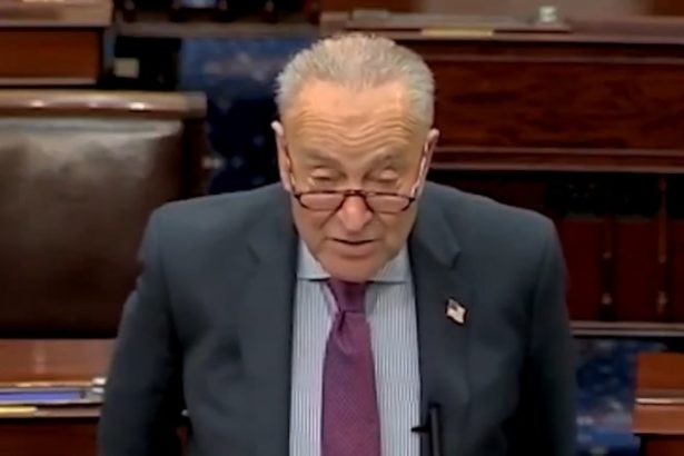 Schumer Shutdown Day 7: Senate Will Not Vote on Dueling Funding Bills Today as Airports Go Dark | The Gateway Pundit | by Cristina Laila