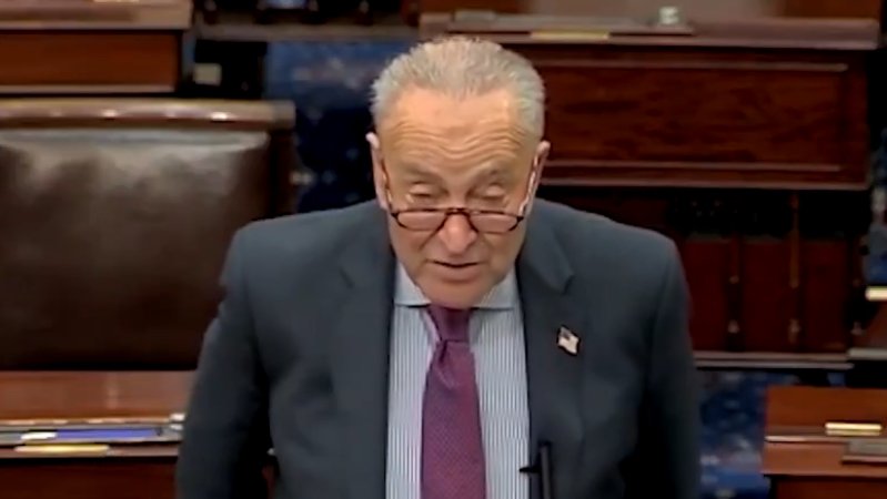 Schumer Shutdown Day 7: Senate Will Not Vote on Dueling Funding Bills Today as Airports Go Dark | The Gateway Pundit | by Cristina Laila