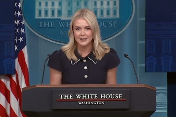 WH Press Secretary Karoline Leavitt Trolls Democrats With a Savage Message on the White House Comment Line After They Shut Down the Government (AUDIO) | The Gateway Pundit | by Cullen Linebarger