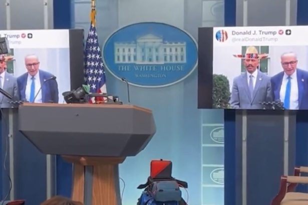 EPIC! White House Trolls Press and Hakeem Jeffries by Playing Sombrero Meme in Briefing Room (VIDEO) | The Gateway Pundit | by Jordan Conradson