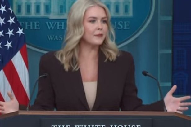 WATCH: Karoline Leavitt Shreds CNN’s Kaitlan Collins for Suggesting National Guard is Unnecessary in Portland – Responds to Portland Judge Blocking National Guard Deployment, Says They will Appeal | The Gateway Pundit | by Jordan Conradson