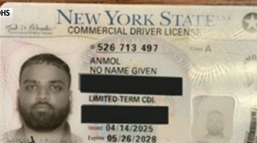 (VIDEO) ICE Director Todd Lyons Discusses Illegal Alien who was Found in Oklahoma with New York Commercial Drivers License that Read “No Name Given” | The Gateway Pundit | by Jordan Conradson