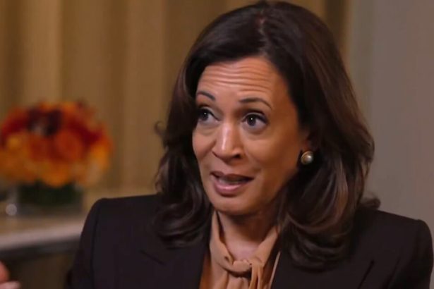 WATCH: After YEARS of Democrats Targeting Trump and Trump Supporters, Kamala Harris Calls Letitia James Indictment a “Full on Frontal Attack on the Rule of Law” | The Gateway Pundit | by Jordan Conradson