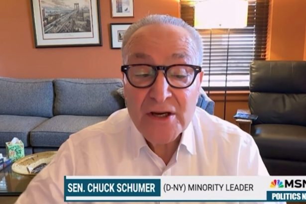 (VIDEO) Chuck Scumer Calls for “Forceful” Uprising in Response to Letitia James Indictment | The Gateway Pundit | by Jordan Conradson