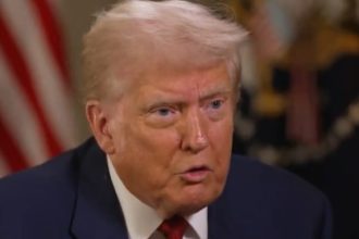 WAYNE ROOT: Five Creative Ideas President Trump Should Implement Immediately to Stop Leftist Violence | The Gateway Pundit | by Assistant Editor