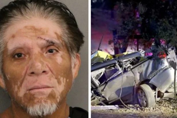 Thanks to Gavin Newsom – Criminal Illegal Alien Kills Six People in Drunk Driving Collision After California Authorities Ignore ICE Detainer | The Gateway Pundit | by David Greyson
