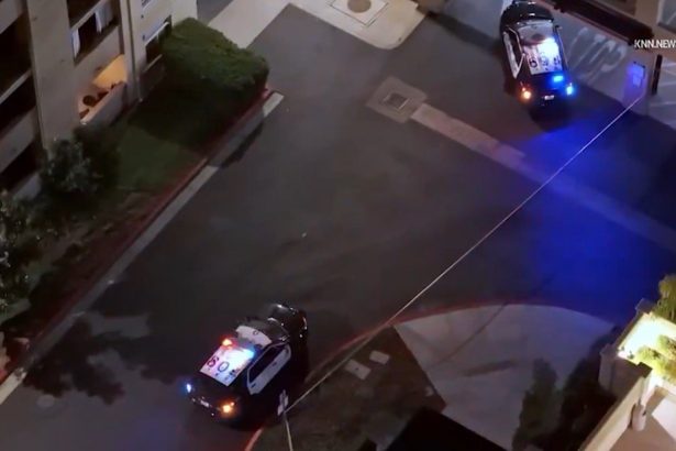 Mitt Romney’s Brother Was Fighting to Make Sure Estranged Wife Was Awarded NOTHING in Bitter Divorce Battle Just Months Before She Plunged to Her Death | The Gateway Pundit | by Cristina Laila