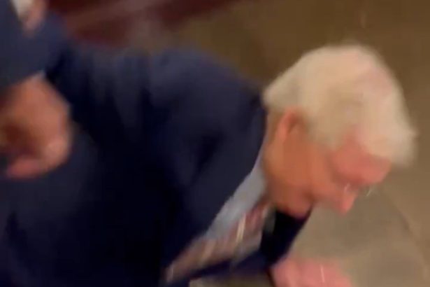 BREAKING: Mitch McConnell Falls Down Hard (VIDEO) | The Gateway Pundit | by Cristina Laila