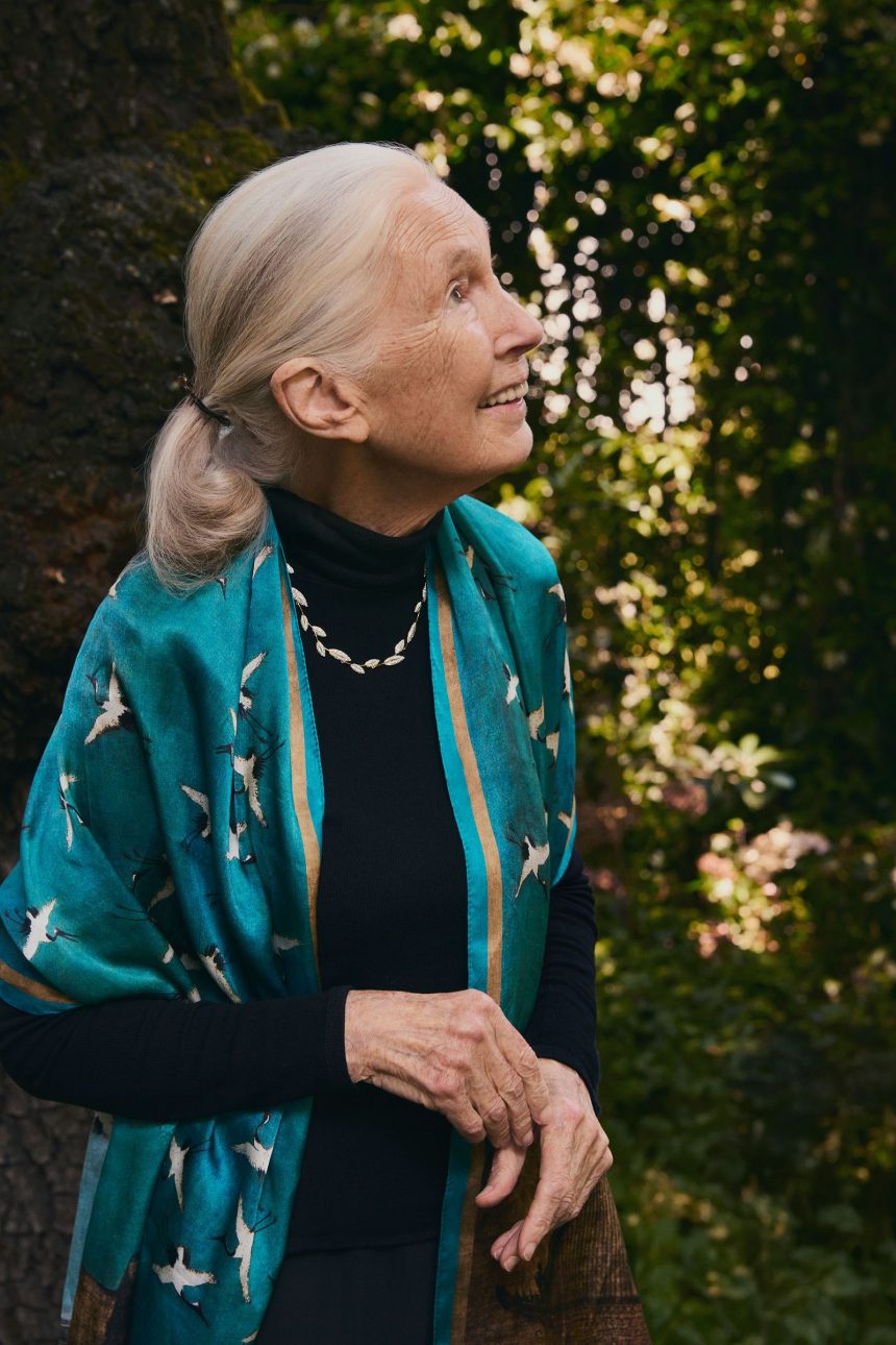 What Sustainable Fashion Can Learn From Dr. Jane Goodall