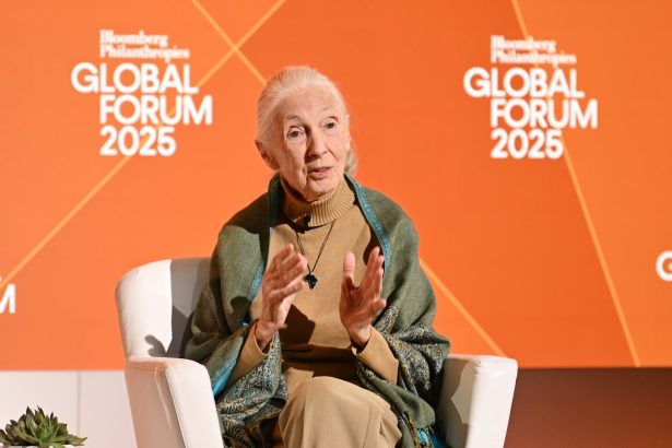 Jane Goodall, Trailblazing Primatologist and Chimpanzee Conservationist, Has Died