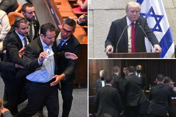 Far-left politician thrown out after interrupting Trump’s address to Israel’s parliament