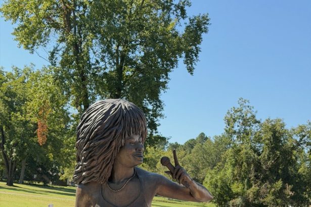 Bizarre New Tina Turner Statue Gets Roasted Online 
