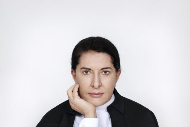 Art Movements: Marina Abramović, Rosana Paulino, AI Art Museum
