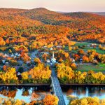 Want to See the Best Fall Colors This Year? Science Has the Answer