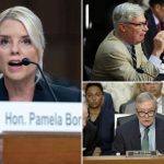 Pam Bondi lashes out at Senate Democrats in contentious Judiciary panel hearing