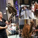 Pets flood NYC church for annual ‘blessing’ event honoring spate of animals – including dogs, turtles, parakeets and owls