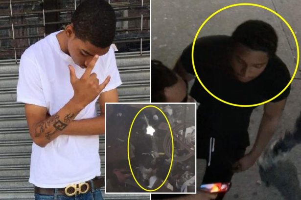 Bloods gangbanger linked to NYC hookah lounge shooting that killed 3, injured 10 more: feds