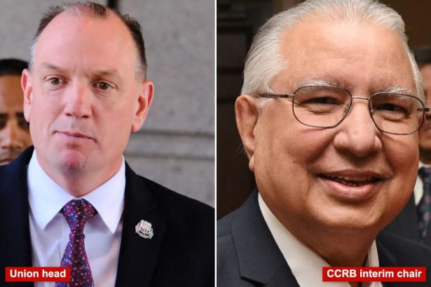 NYC police union calls for ouster of ‘anti-cop’ Mamdani-esque Civilian Complaint Review Board chair