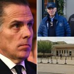 Inside the Hunter Biden-linked proposal to sell off land around the US Embassy in Romania