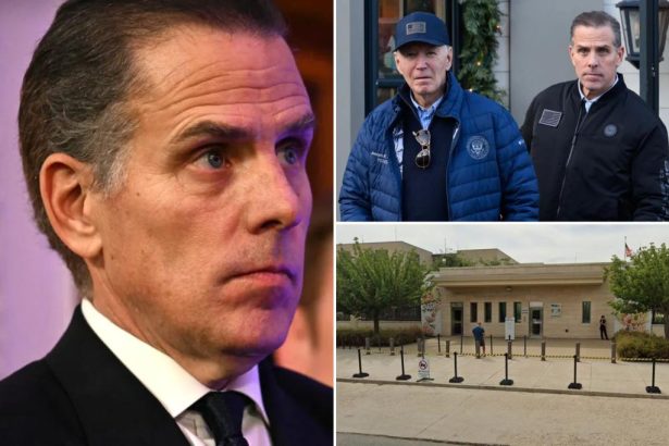 Inside the Hunter Biden-linked proposal to sell off land around the US Embassy in Romania