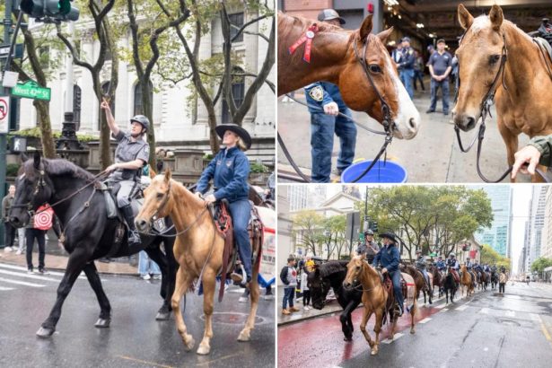 Veterans trek through Manhattan on horseback to promote suicide awareness for 8th annual Trail to Zero ride