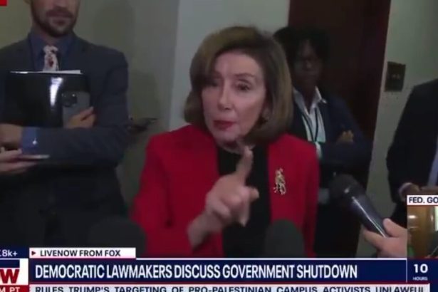 Pelosi Gets So Agitated Her Jewelry Rattles as She Snaps at Reporter Who Asked Her About AOC Telling GOP Senators to Directly Negotiate With Her Over Shutdown | The Gateway Pundit | by Kristinn Taylor