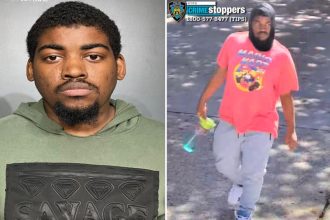 Serial creep tried raping girl, 12, inside NYC apartment building — a week after being sprung in similar attacks