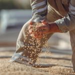 Trump Hints at Pressing China on Soybean Purchases