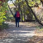 Perv lured middle schooler into NYC park with threat, made teen strip off shirt: sources