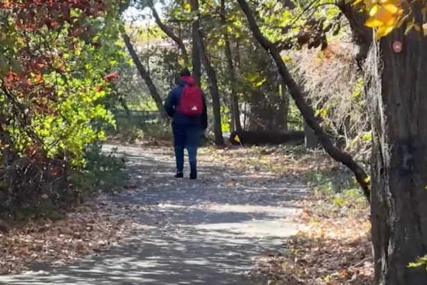 Perv lured middle schooler into NYC park with threat, made teen strip off shirt: sources