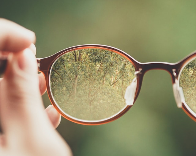 What Are The Top-Rated Places To Get Prescription Glasses? 7 Options