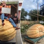 Montana man smashes state record for heaviest pumpkin with massive 1,591-pound gourd