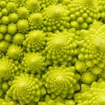 Fractal Chaos Discovered in Prime Numbers