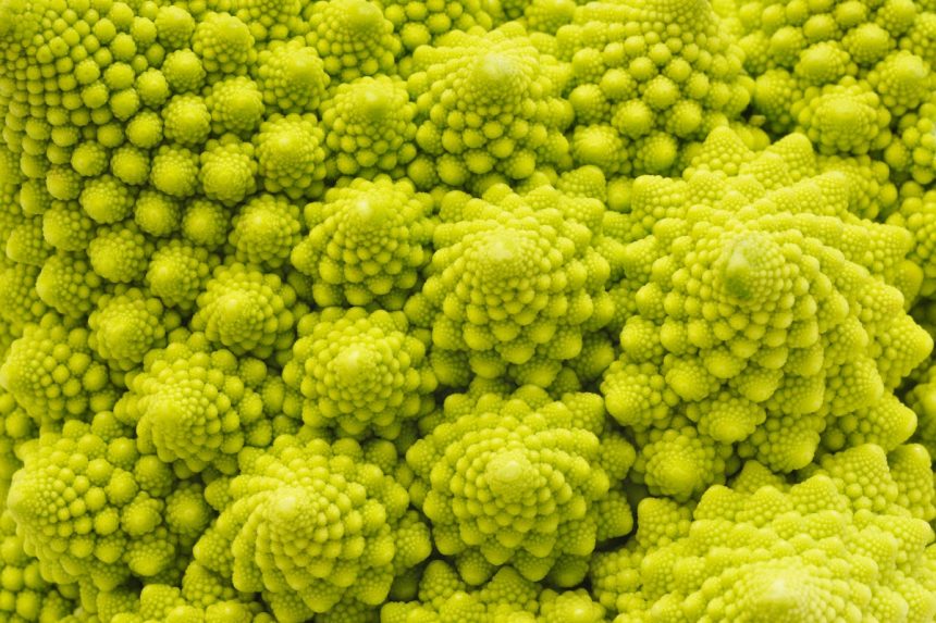 Fractal Chaos Discovered in Prime Numbers
