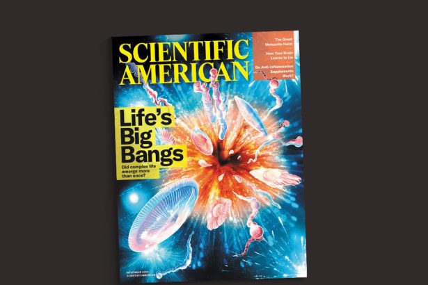 Being Wrong Is a Scientific Superpower